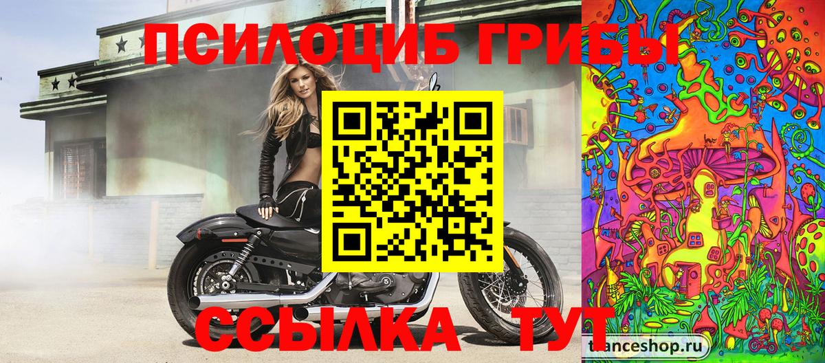 Галлюциногенные грибы прущие грибы Ангарск